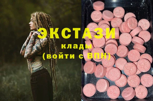 прущие грибы Абаза