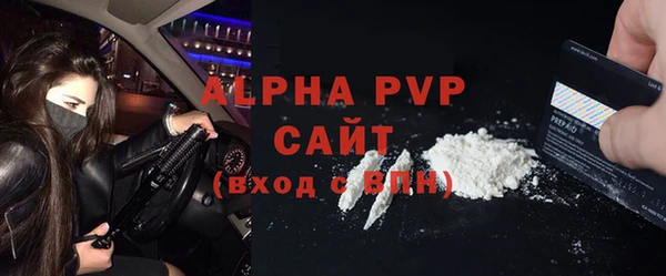 прущие грибы Абаза