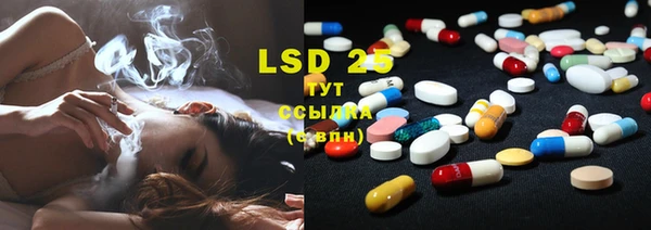 прущие грибы Абаза
