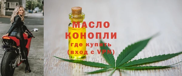 прущие грибы Абаза