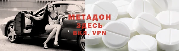 прущие грибы Абаза