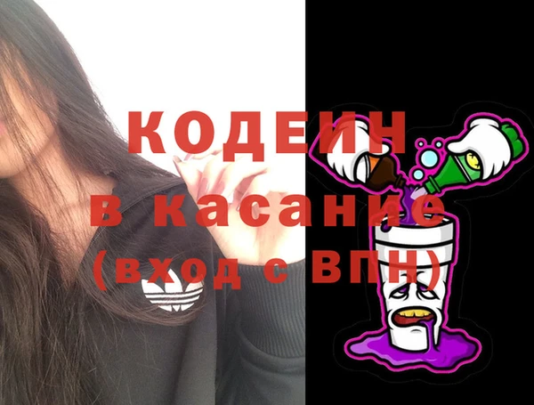 прущие грибы Абаза