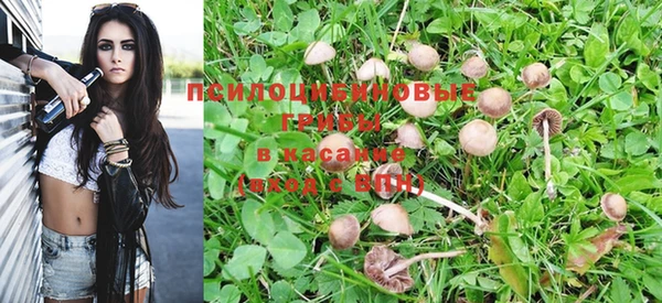 винт Абдулино