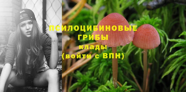 винт Абдулино
