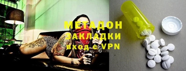 прущие грибы Абаза