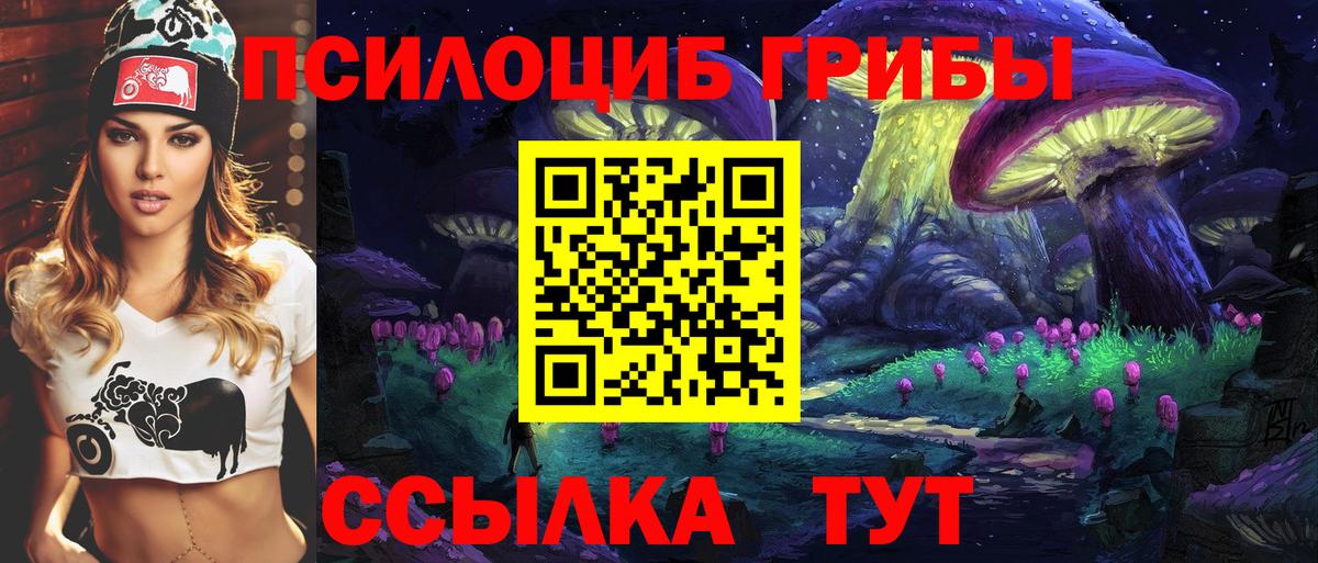 Псилоцибиновые грибы Cubensis  Вход с VPN  даркнет сайт  Фурманов  Псилоцибиновые грибы мицелий 